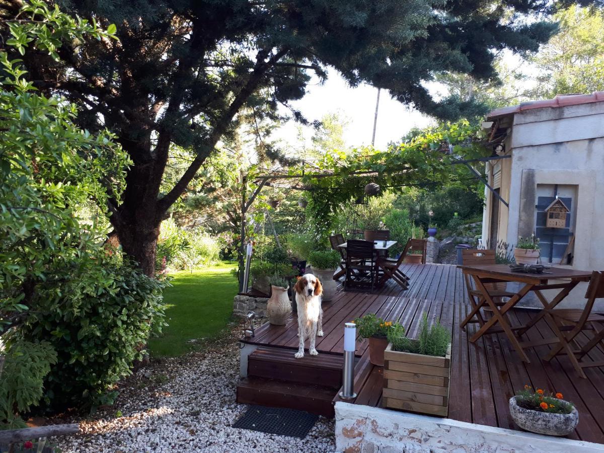 Chez Patricia&Denis Bed & Breakfast Flassans-sur-Issole Exterior foto